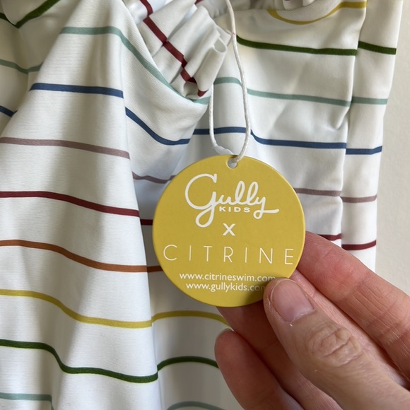 Citrine Multicolor Stripe Swimsuit - Picture 5 of 6